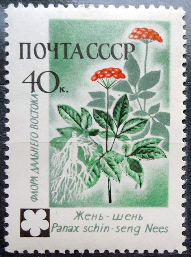 Почтовая марка СССР, посвященная уникальному растению.