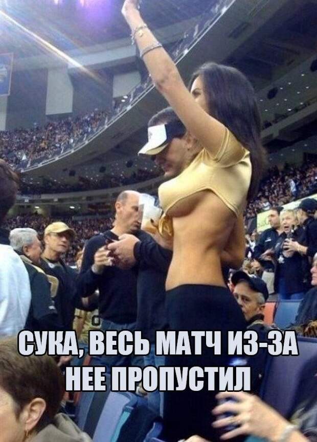Смешные картинки с надписями с надписями, смешные картинки