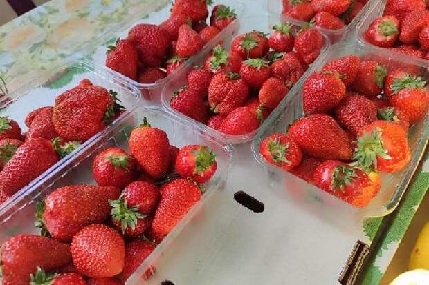 Аллерголог назвала продукты, которые нельзя есть в сезон цветения