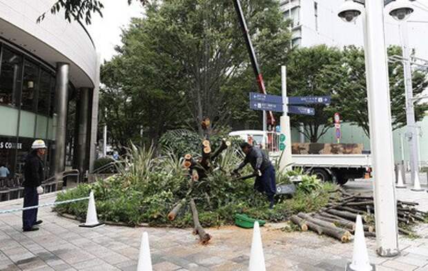 Разрушительный тайфун "Майсак" добрался до Японии и Южной Кореи