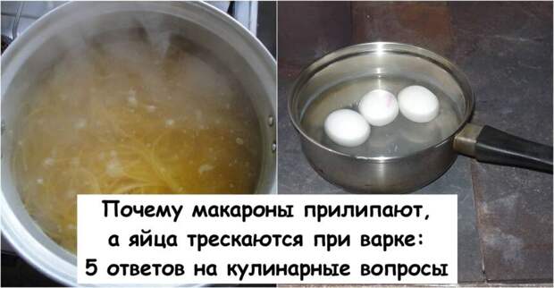 Почему макароны прилипают, а яйца трескаются при варке: 5 ответов на кулинарные вопросы