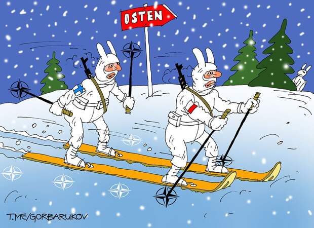 Финляндия и Польша совместно точат зубы на Россию