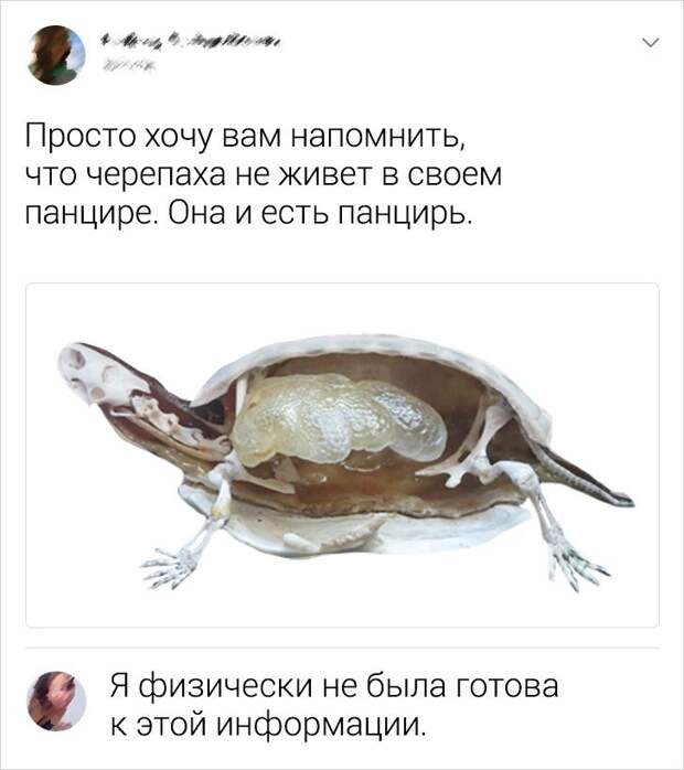 12 потрясающих снимков, раскрывающих удивительные тайны нашего мира