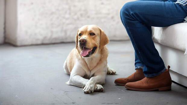 Чернокнижник