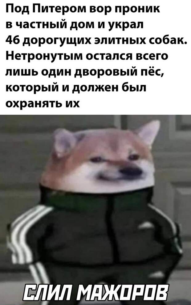 Смешные картинки 14 января 2022 года