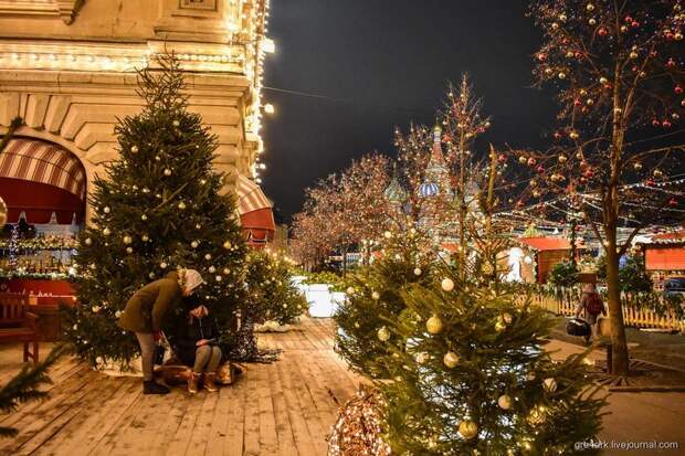 Огни большого города путешествия, факты, фото