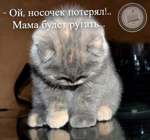 Носочек