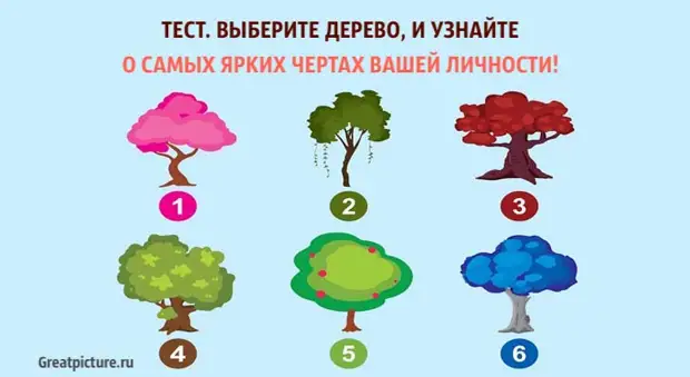 Как выбрать дерево для работы. Выберите дерево и узнайте. тест выбери дерево. выбери дерево и узнай. тест выберите дерево.