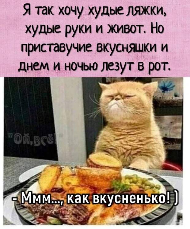 Свежий юмор для хорошего настроения