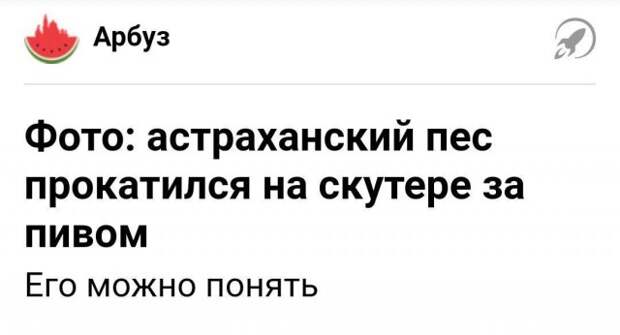 www.vsyako.net