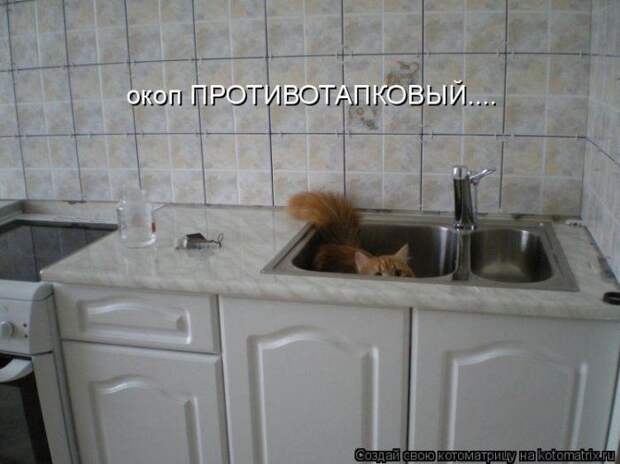 Мысли вслух :)