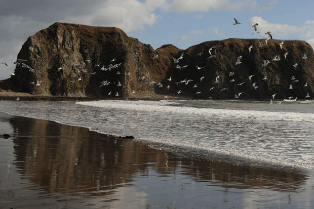 У берегов Курил зафиксировано ощутимое землетрясение магнитудой 5,0