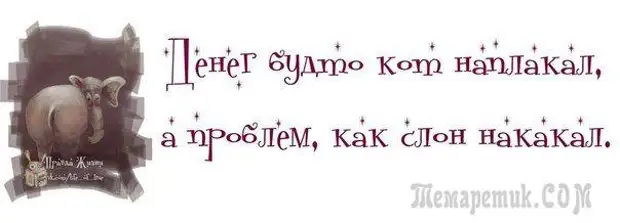 Смешные открытки с философские уклоном