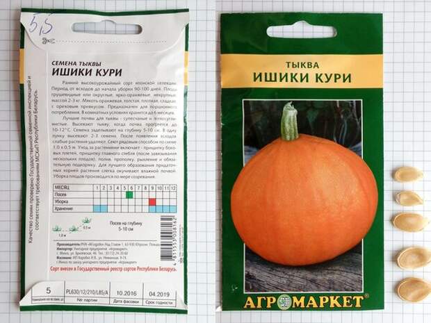 Кури 3 - производитель семян "W. Legutko" из г. Ютросин, Польша