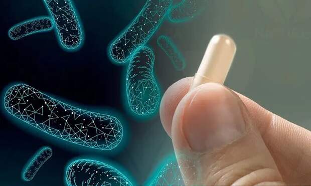 Пребиотики и пробиотики: в чем разница и зачем они нужны кишечнику?