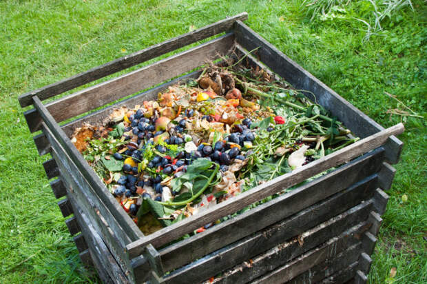 Всегда можно сделать компост. |Фото: austinmonitor.com.
