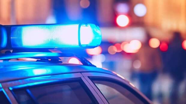 Вдова известного актера Станислава Говорухина погибла при пожаре в коттедже в ТиНАО