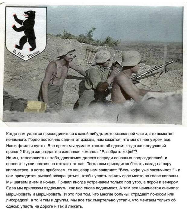 О чем немецкий ефрейтор писал бабушке в Мюнхен летом 1942 года