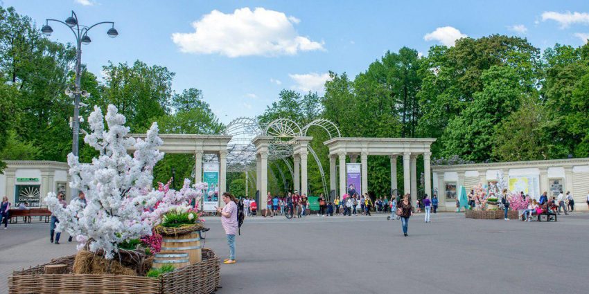 Орнитологи просят москвичей не мешать молодым соколам учиться охотиться Фото: mos.ru