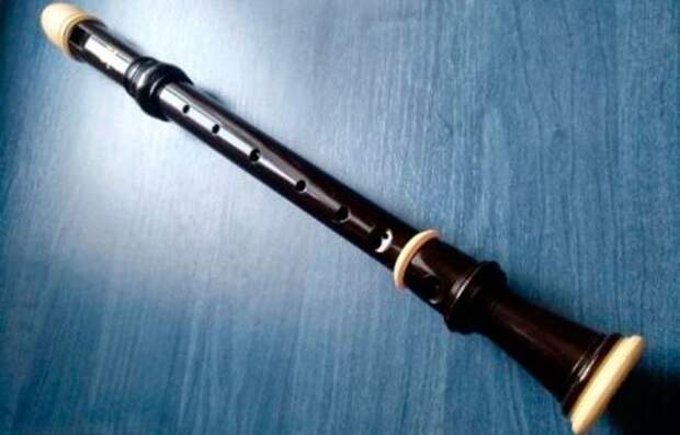Блок-флейта - один из самых простых и бюджетных духовых инструментов