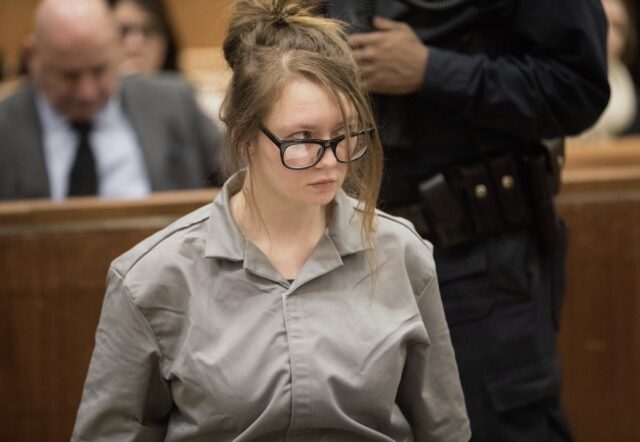 анна делви аферистка анна делви в суде