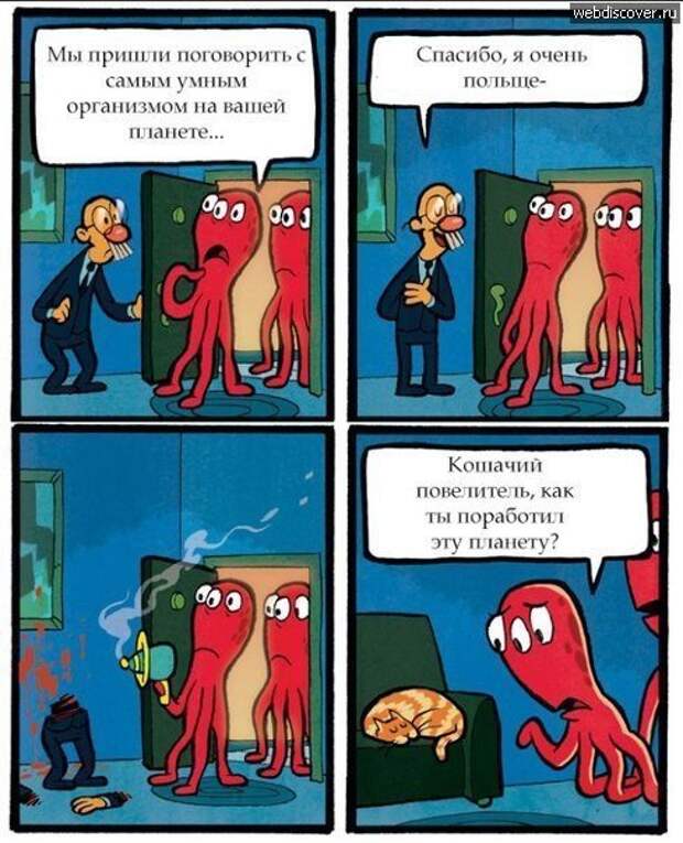 Животный юмор животные в юморе ., карикатуры, рисунки, юмор