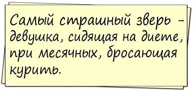 Только что по "Первому каналу" показали, как варить еловые шишки...