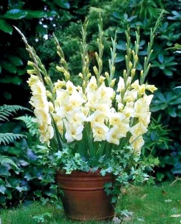 o0YO6vHk42o (441x544, 146Kb)