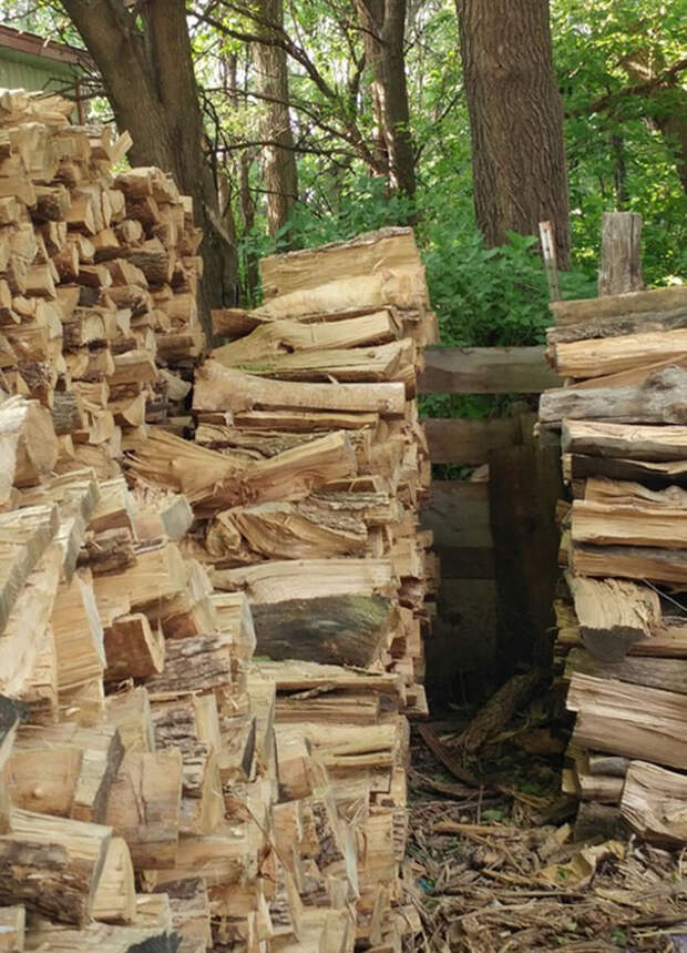 find-hidden-cat-camouflage-hide-and-seek-catouflage-44