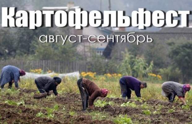 Новая порция анекдотов (14 шт)