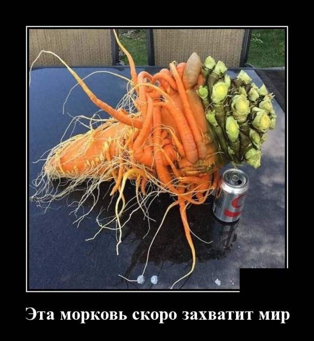 Демотиваторы (30 фото)