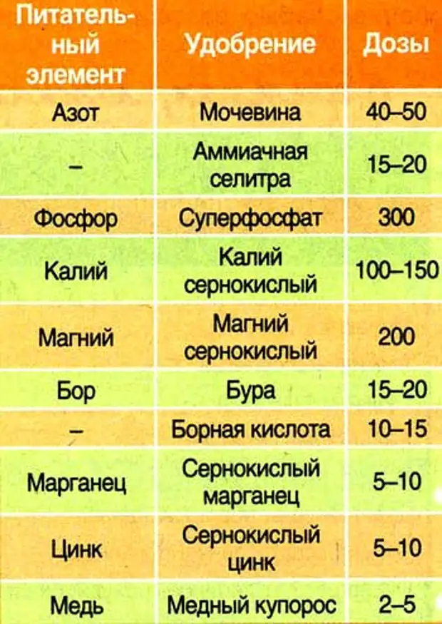 Какие овощные культуры нуждаются в одинаковой подкомке