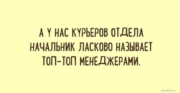 Правдиво-забавные открытки обо всем на свете