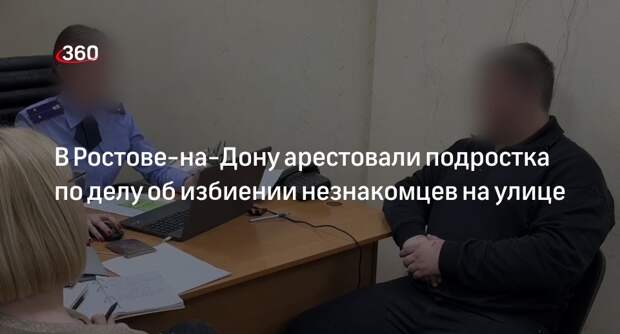 Суд в Ростове-на Дону арестовал подростка по делу об избиении людей на улице