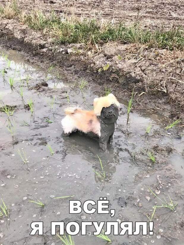 Прикольные фотомемы (23 шт)