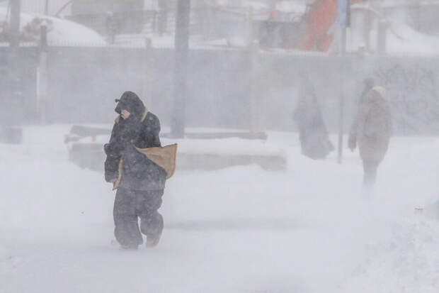 Гидрометцентр: снегопад в Москве от 9 января стал пятым по силе за 146 лет