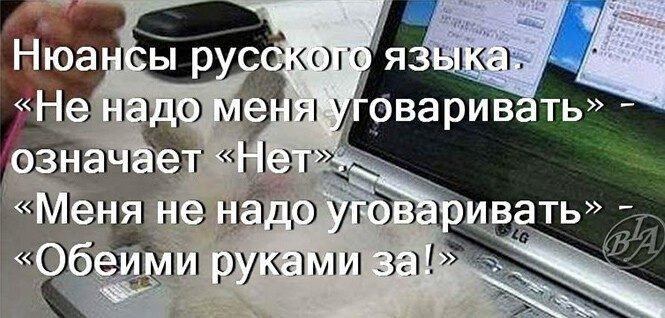 Позитивные приколы