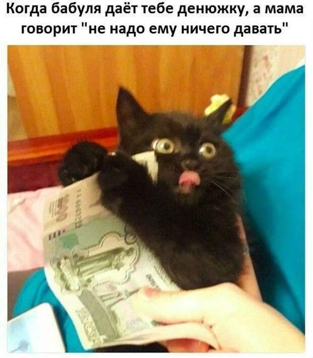 Прикольные картинки с текстом (20 фото)