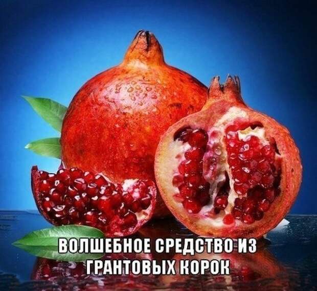 Лекарство, которым исцелял еще сам Гиппократ!