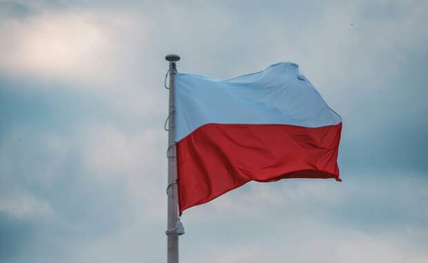 Воюющих за ВСУ поляков освободят от уголовной ответственности