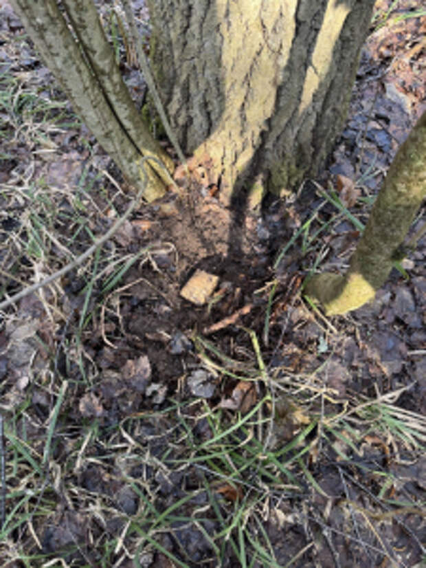 В Мордовии завершено расследование уголовного дела в отношении оператора федерального интернет-магазина по продаже наркотиков, обвиняемой в покушении на сбыт мефедрона в Московской области