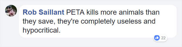 anti-peta-hate-rant-dear-tumb1r-21