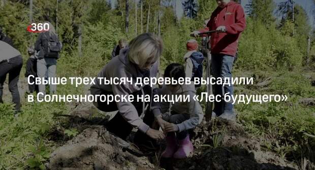 Свыше трех тысяч деревьев высадили в Солнечногорске на акции «Лес будущего»