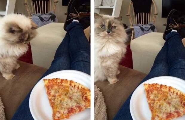 Подборка картинок дня