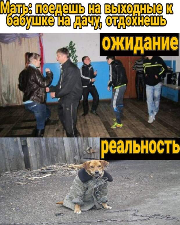 kartinok-prikolnyh-podborka-kartinki-smeshnye-kartinki-fotoprikoly