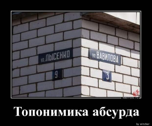 1589958753_demki-16.jpg