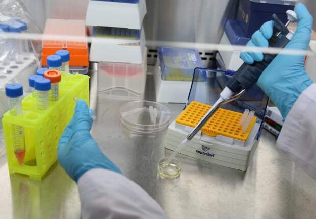 Швейцарский экономист: закулисная элита ведёт зачистку Земли от «лишних» людей