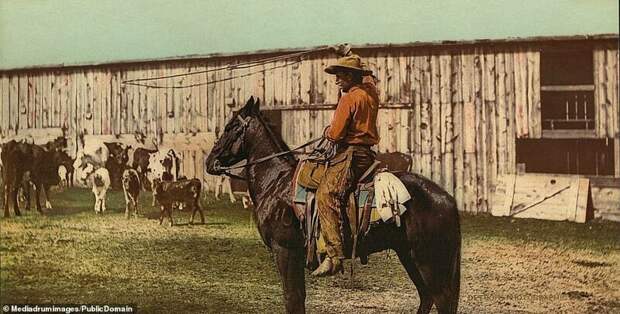 Снимки времен золотой лихорадки в Колорадо, раскрашенные еще в 1880-х годах