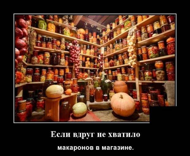 demotivatory-demotivator-smeshnye-demotivatory-demotivator-so-smyslom