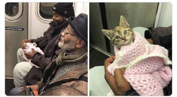 Котопапа Котопапа
